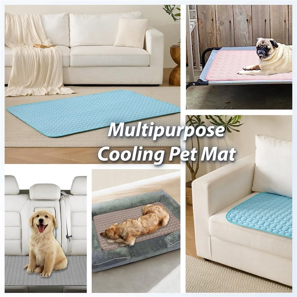 Puppy Cold Blanket For Floor price